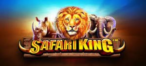  Safari King