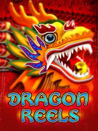 Dragon Reels