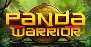 Panda Warrior