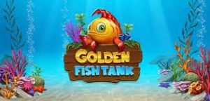 Golden Fish Tank
